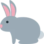 X / Twitter 平台中的 rabbit