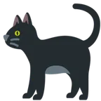 black cat för X / Twitter-plattform