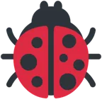 lady beetle untuk platform X / Twitter