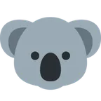 koala pour la plateforme X / Twitter