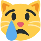crying cat for X / Twitter platform
