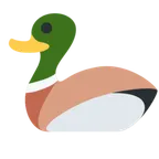 X / Twitter 平台中的 duck