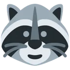 X / Twitter 平台中的 raccoon