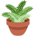 potted plant för X / Twitter-plattform