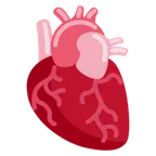 anatomical heart for X / Twitter-plattformen