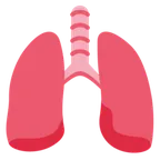 lungs for X / Twitter platform